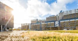 LUMC Global PhD Scholarship 2026 - call, procedure and application